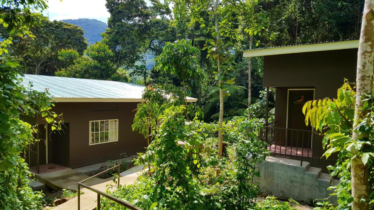 Bwindi Guest House Kanungu Exterior photo